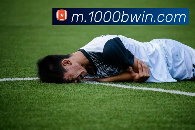 bwin必赢亚洲官网平台品牌故事