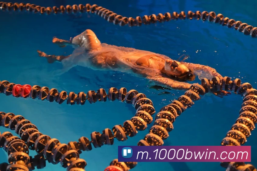 bwin必赢亚洲官网平台服务体系